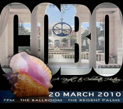 Provo fund raising event logo|105