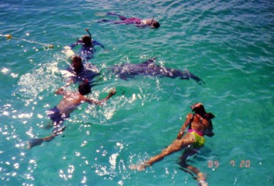 Jojo the dolphin|218