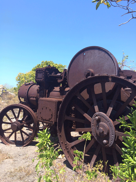 The Burrell Steam Traction Engine on East Cacios
